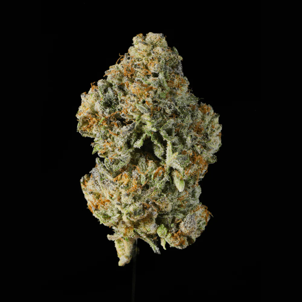 Apple Fritter THCA Flower - Image 5