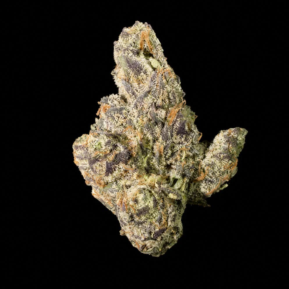 Apple Fritter THCA Flower - Image 6