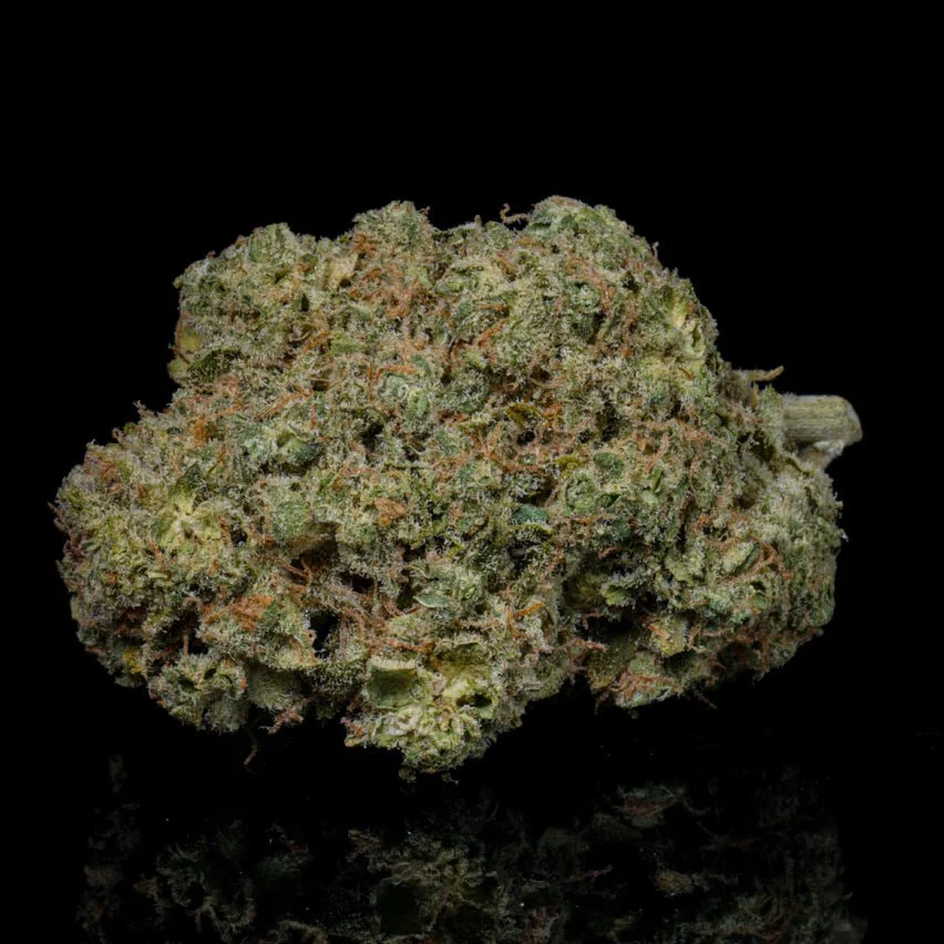 Baccio Gelato THCA Flower
