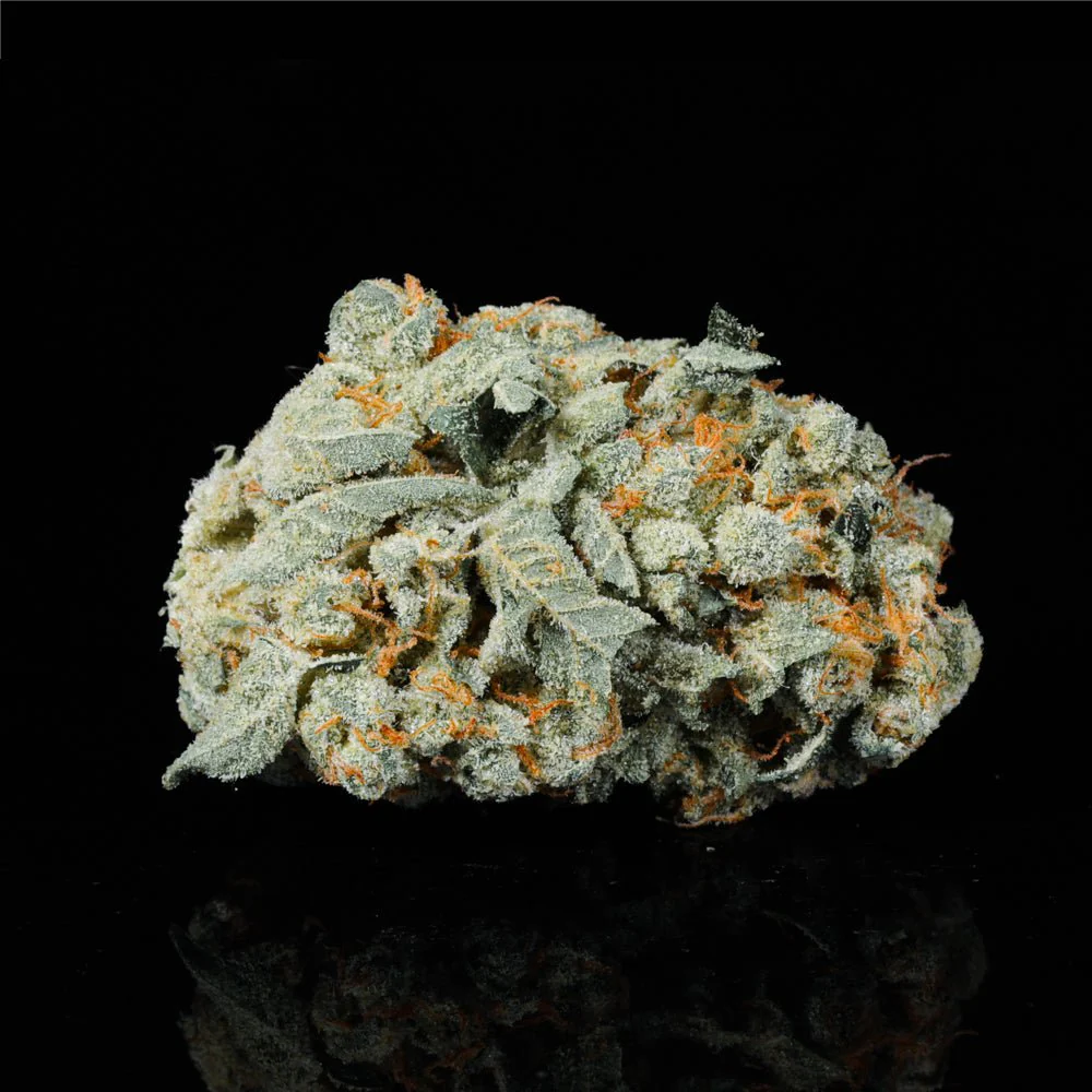 Baccio Gelato THCA Flower - Image 5