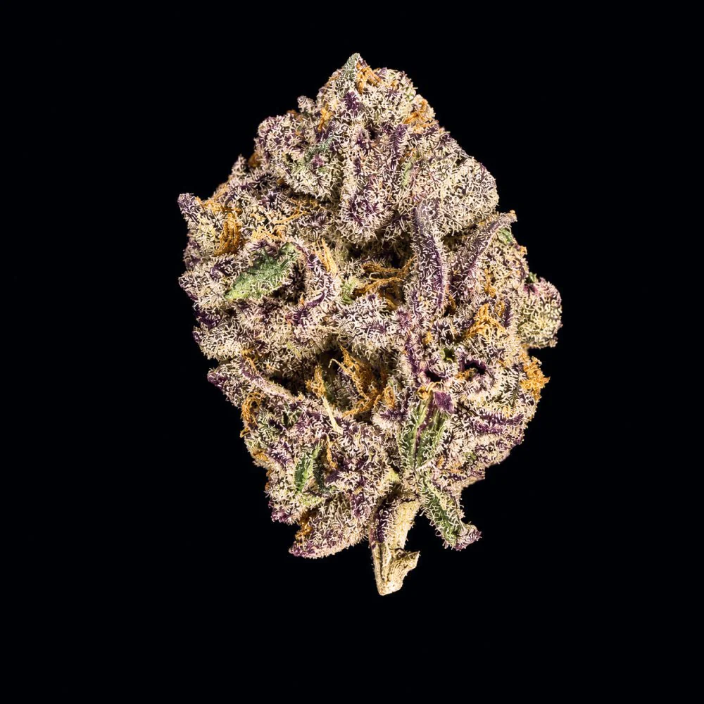 Bangkok Purple THCA Flower - Image 7