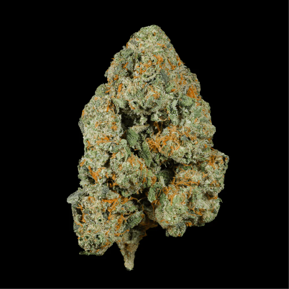 Black Cherry Gelato THCA Flower - Image 7