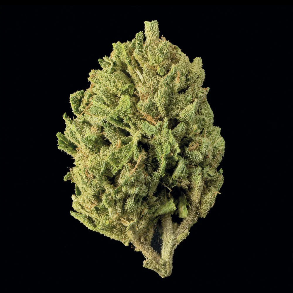 Blue Dream THCA Flower - Image 5