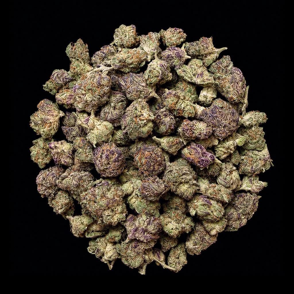 BOLO Runtz THCA Flower - Image 5