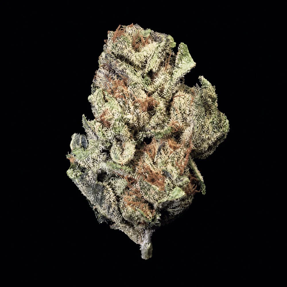 Bubble Belts THCA Flower - Image 4