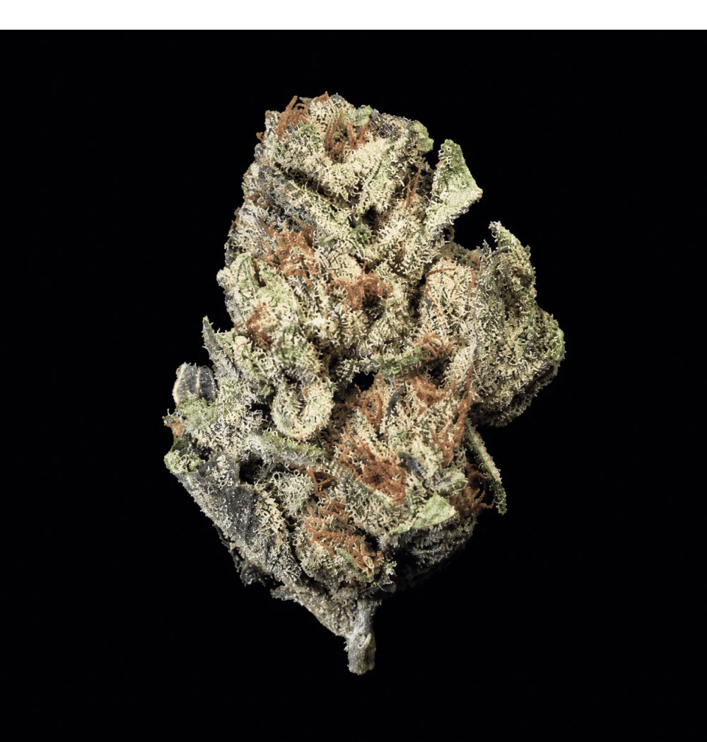 Bubble Belts THCA Flower - Image 5