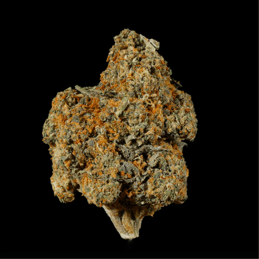 Bubblegum Gushers THCA Flower