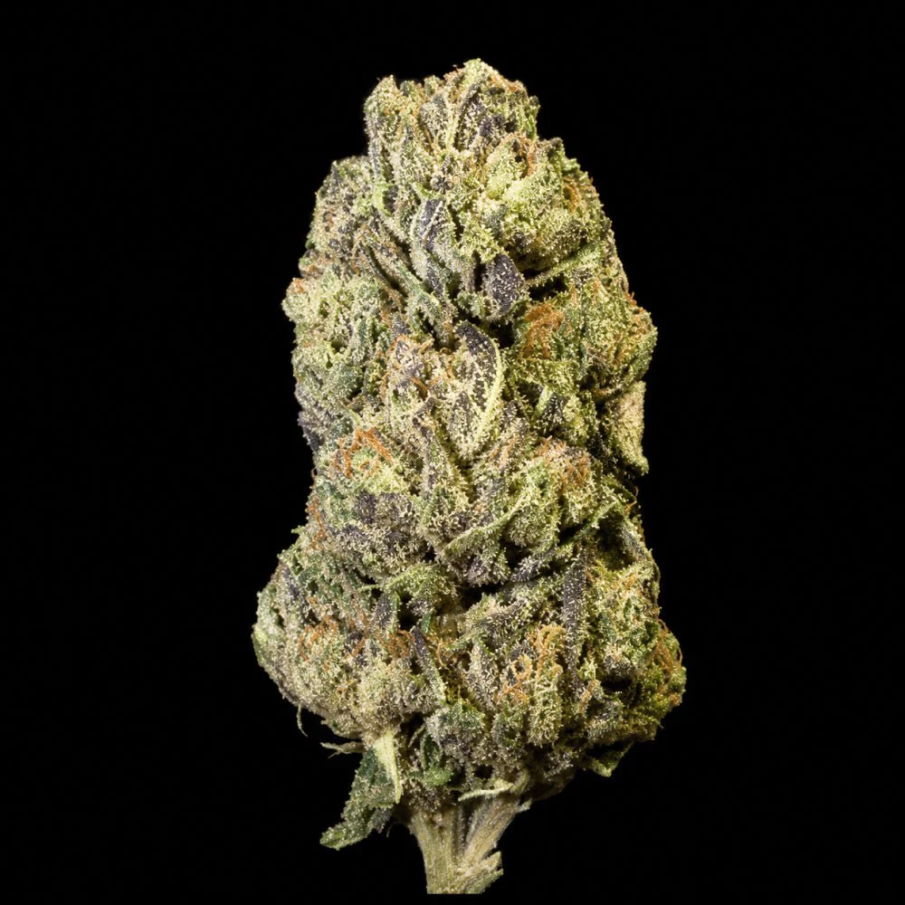 Candi Paint THCA Flower - Image 5