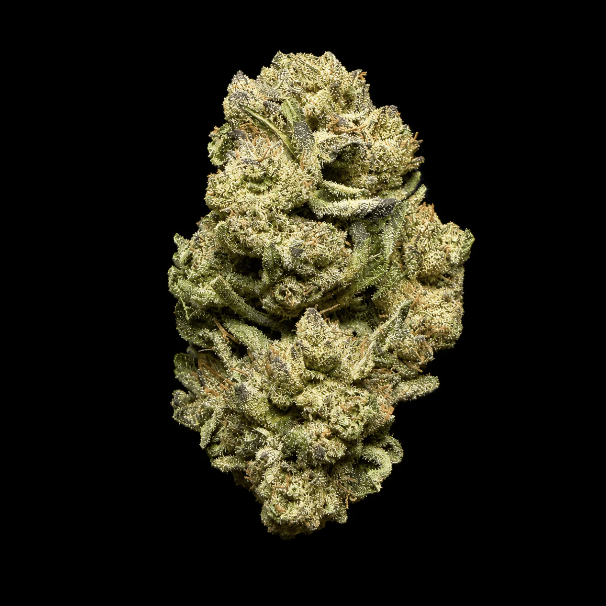 Carbon Fiber THCA Flower - Image 6