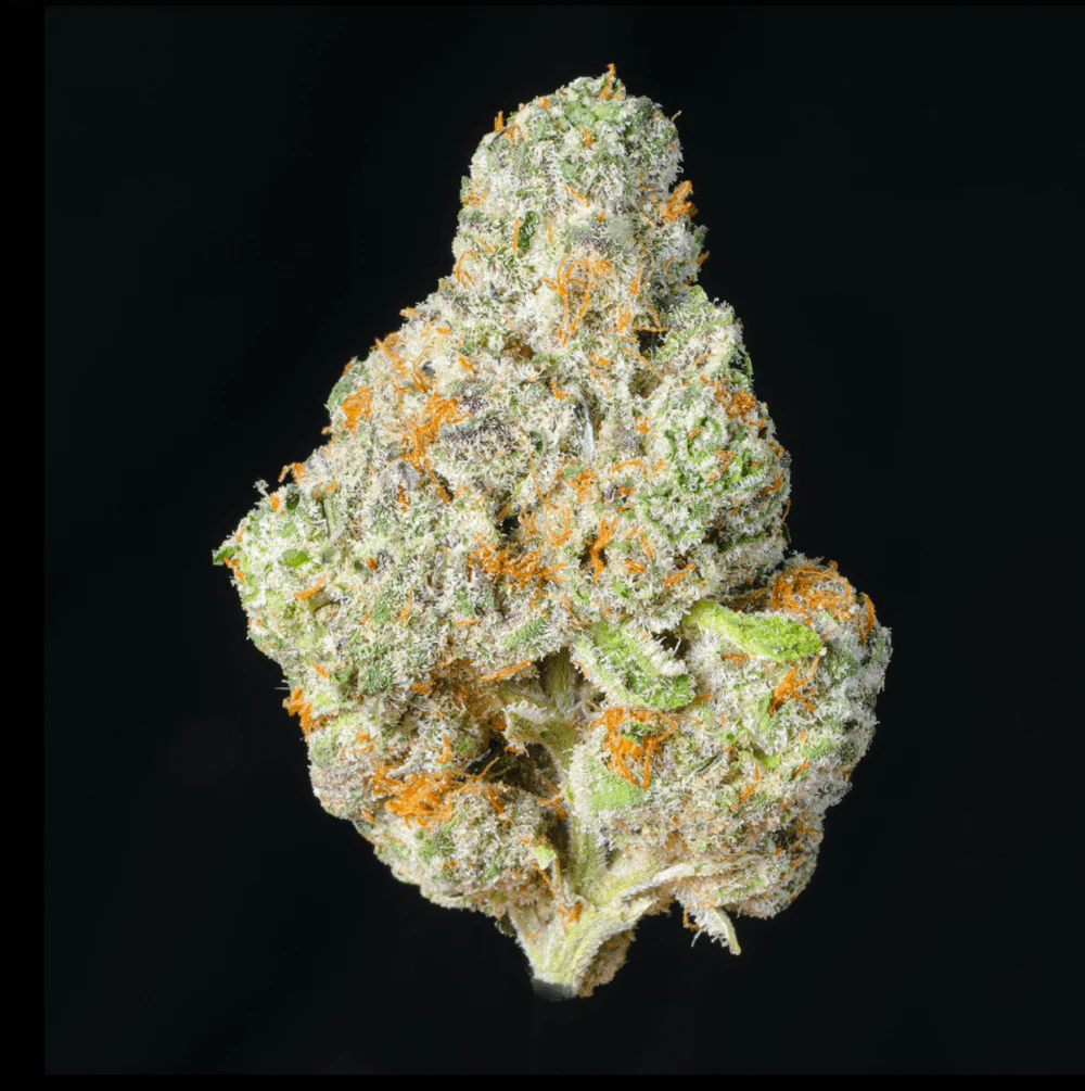 Cheetah Piss THCA Flower - Image 6