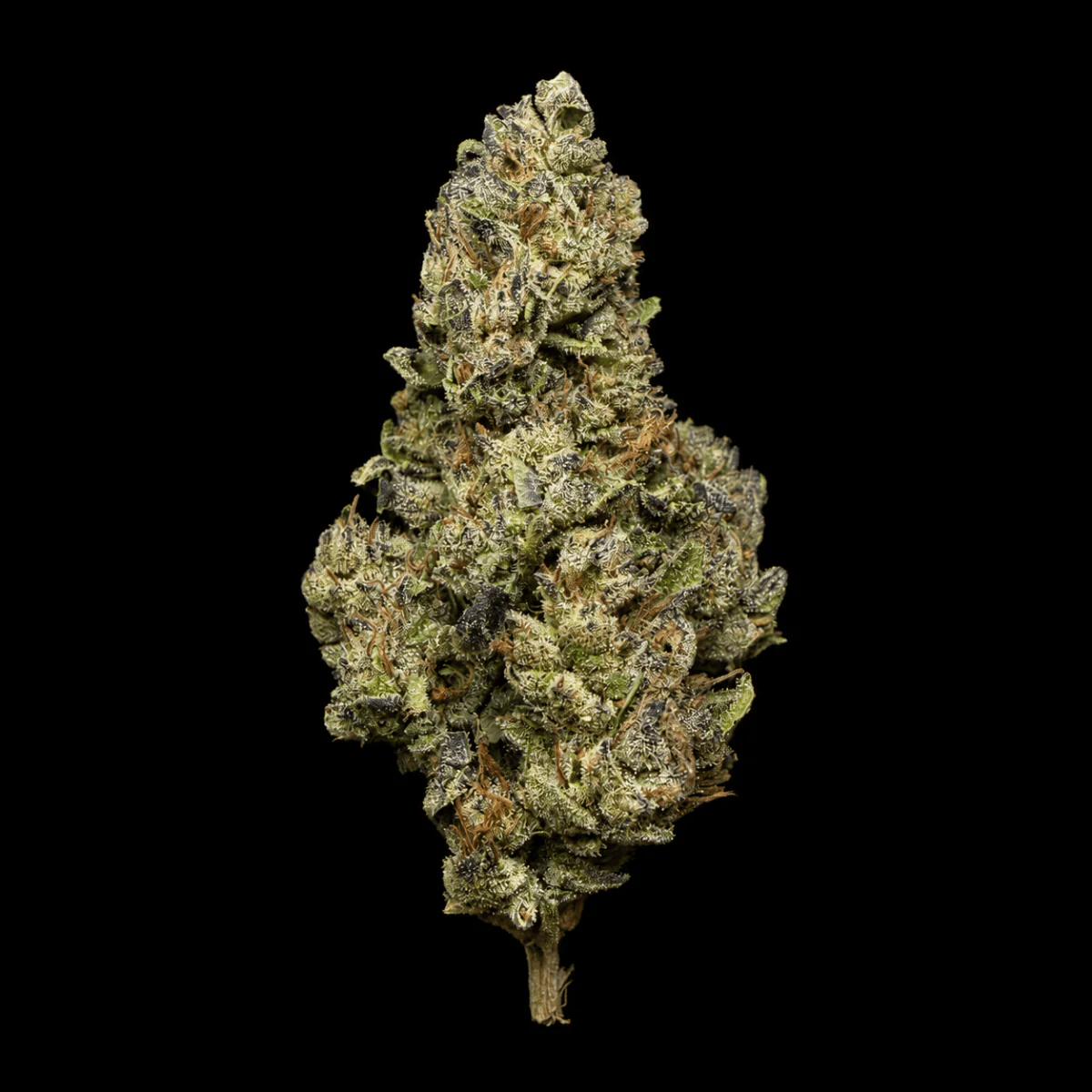Cherry Gas THCA Flower - Image 6