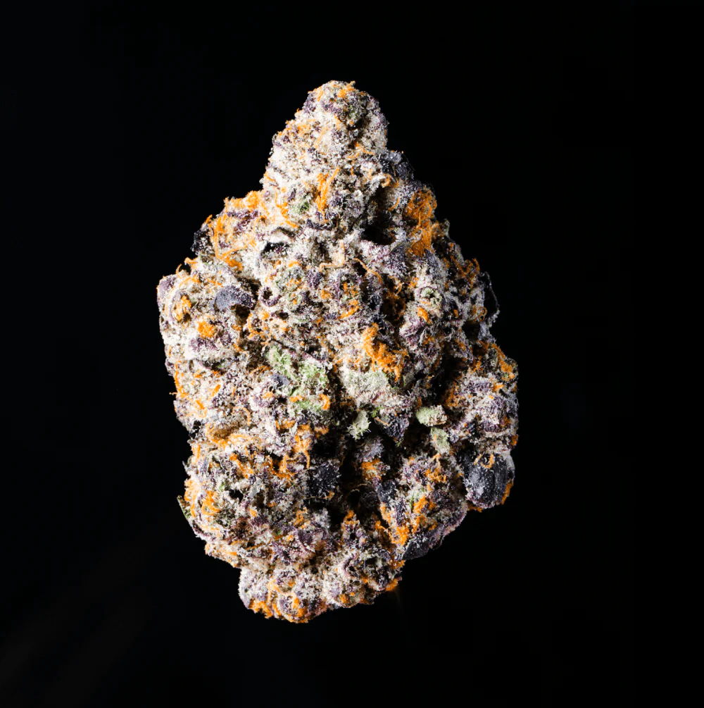 Crotch Rocket THCA Flower - Image 5