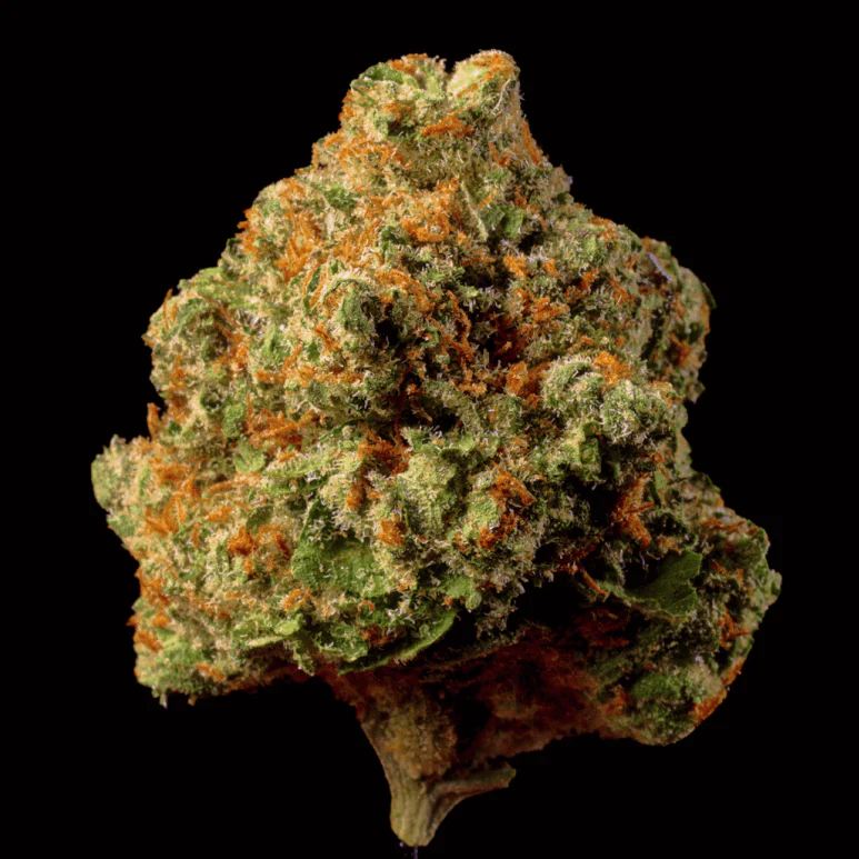 Do-Si-Do THCA Flower