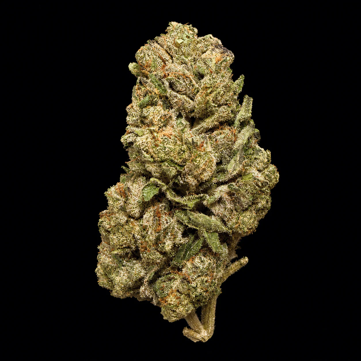 Double Runtz THCA Flower - Image 5
