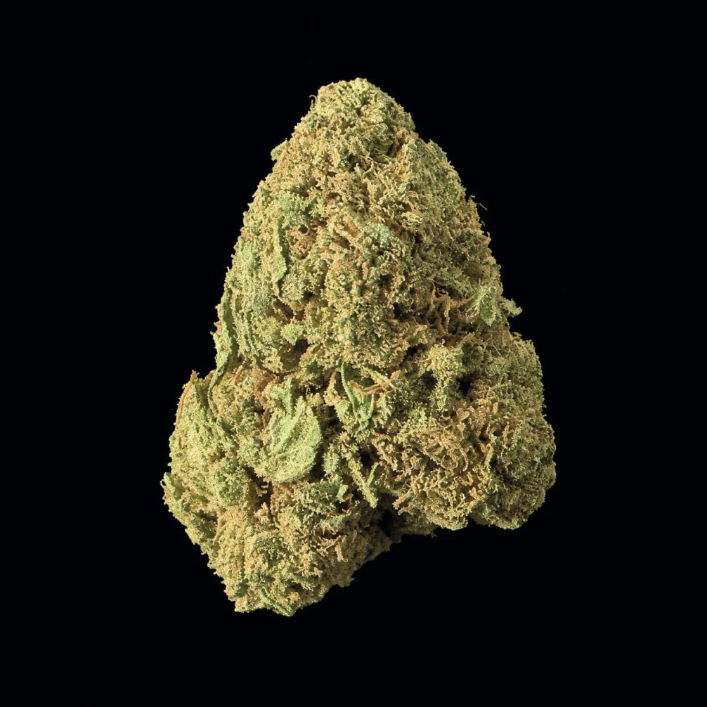 Durban Poison THCA Flower - Image 6