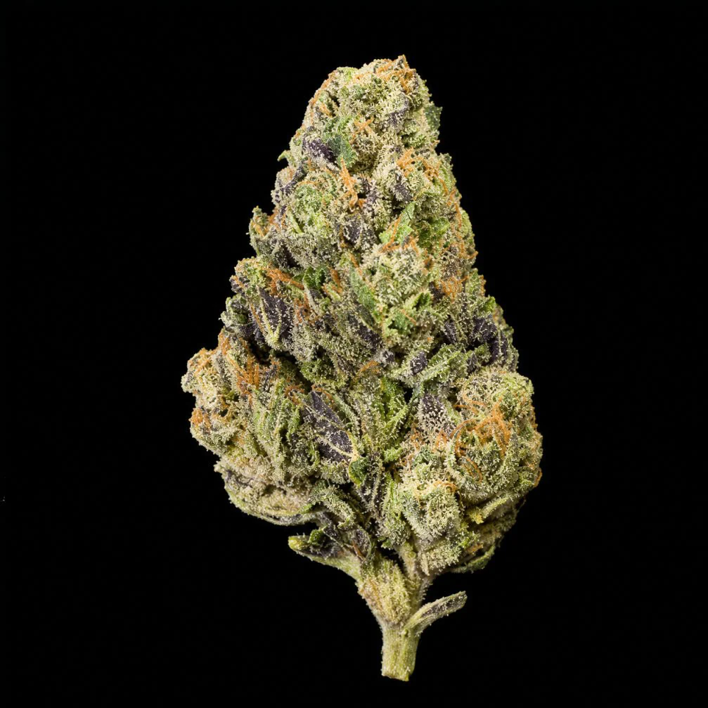 Fee Runtz THCA Flower - Image 5