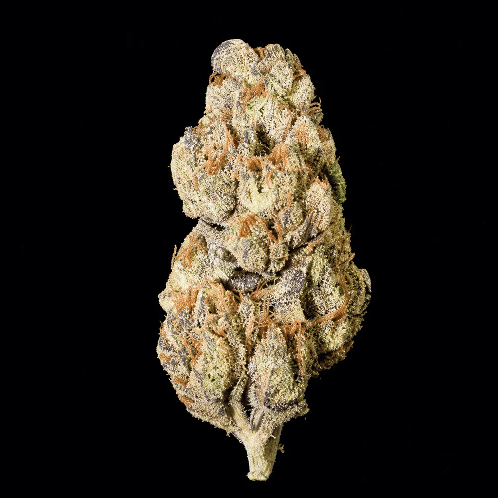 Fight Club THCA Flower - Image 4
