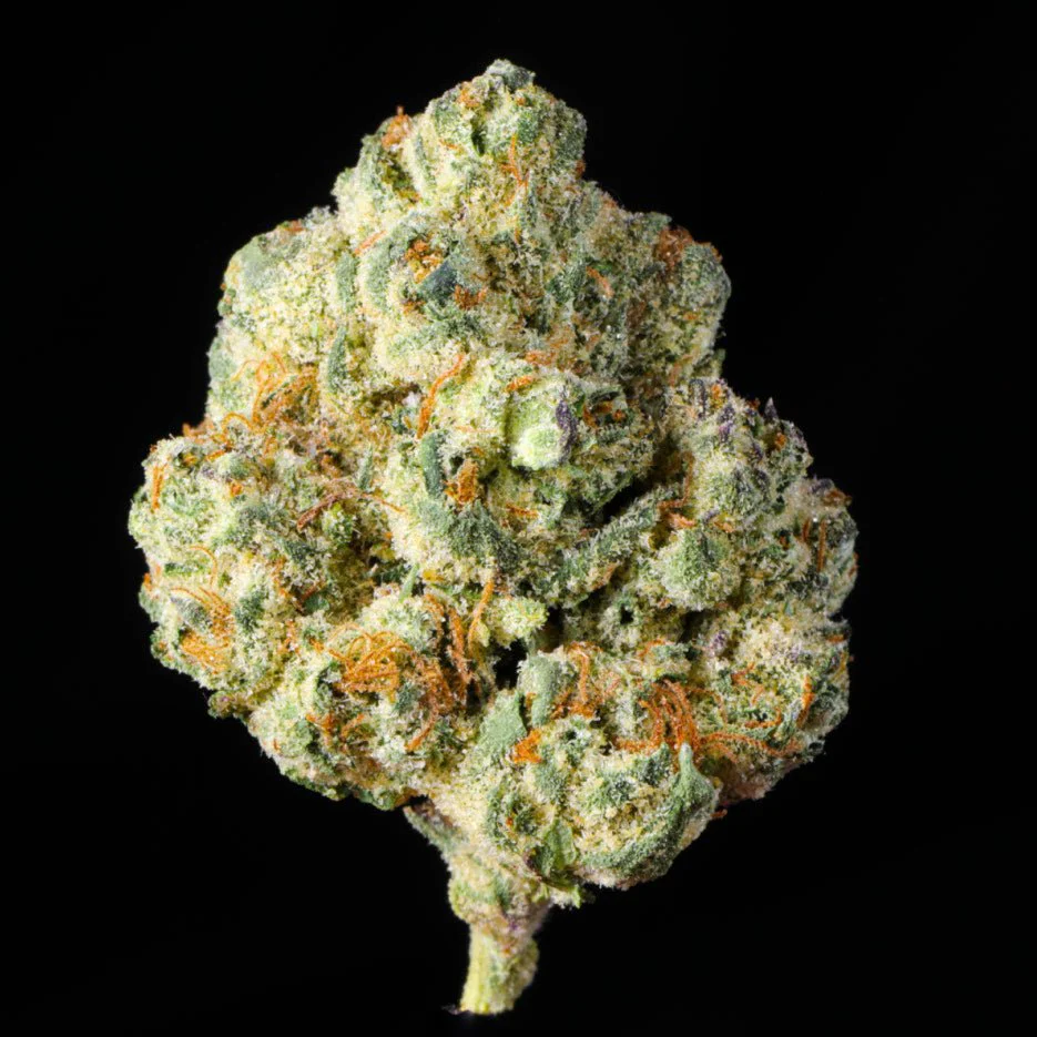 Forum Cookies THCA Flower