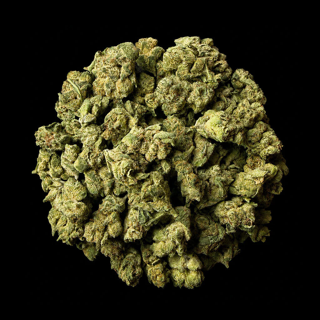 Garlic Sauce THCA Flower - Image 3