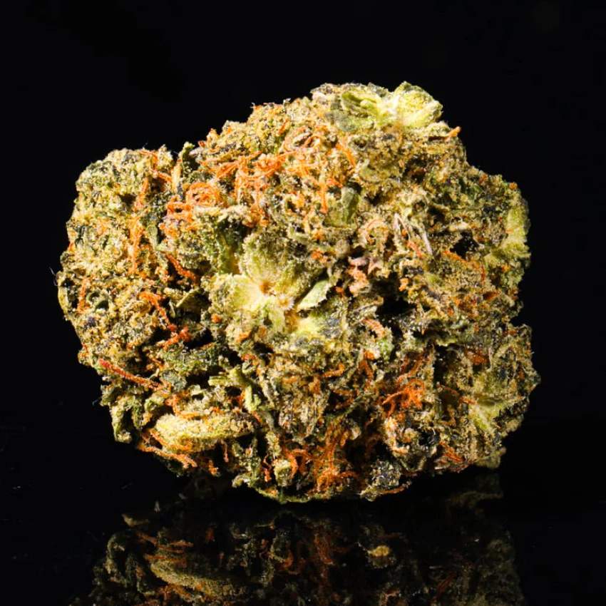 Gastro Pop THCA Flower