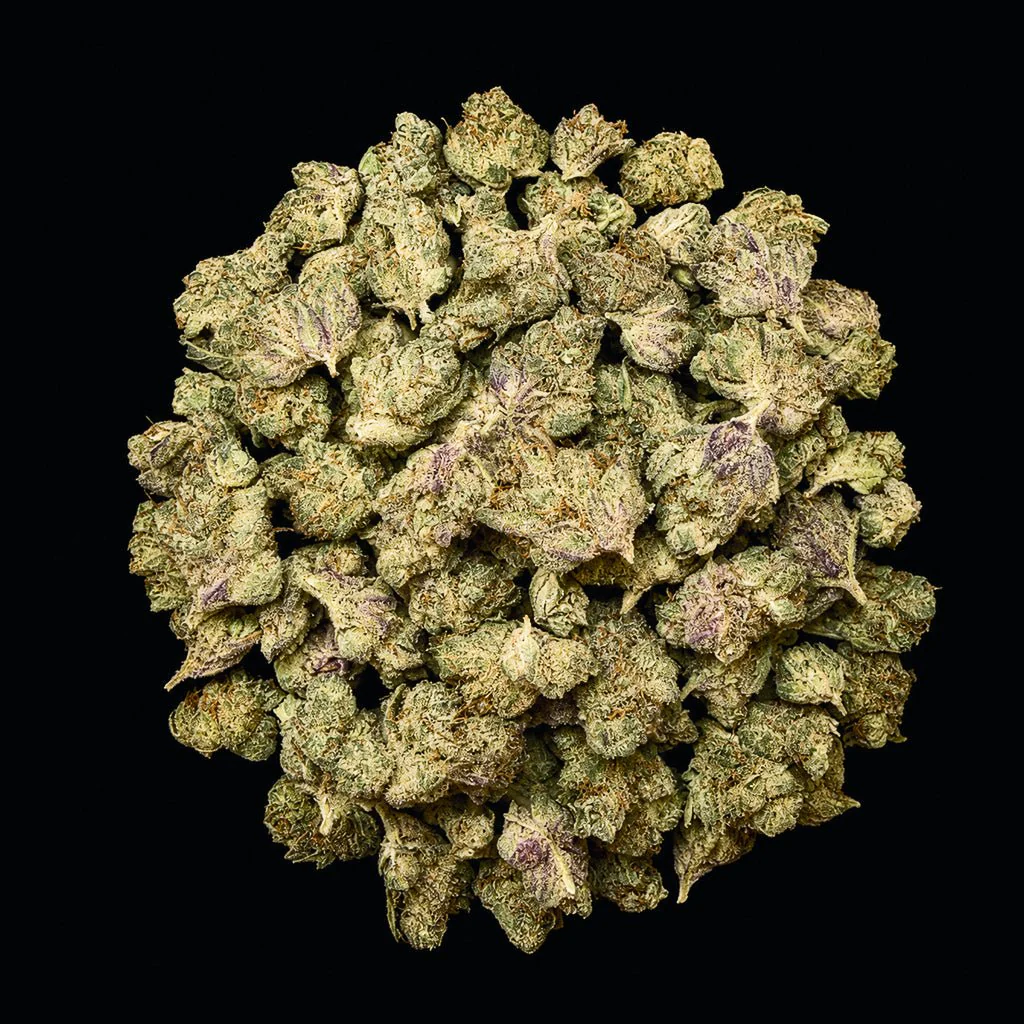 Gelato #33 THCA Flower - Image 10