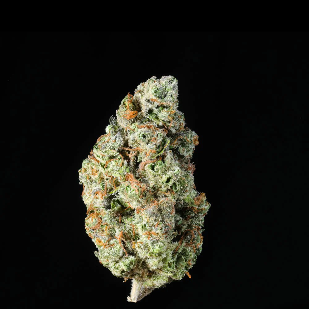 Gelato #33 THCA Flower - Image 7