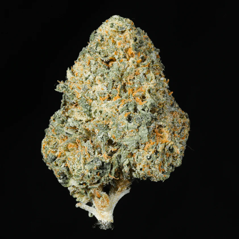 Gelato Ice THCA Flower