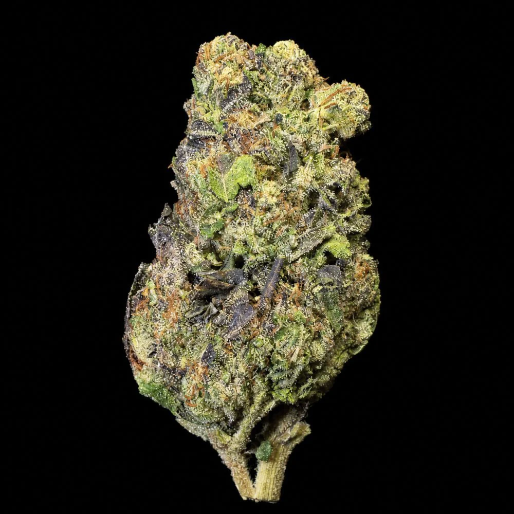 Gelato King THCA Flower - Image 2