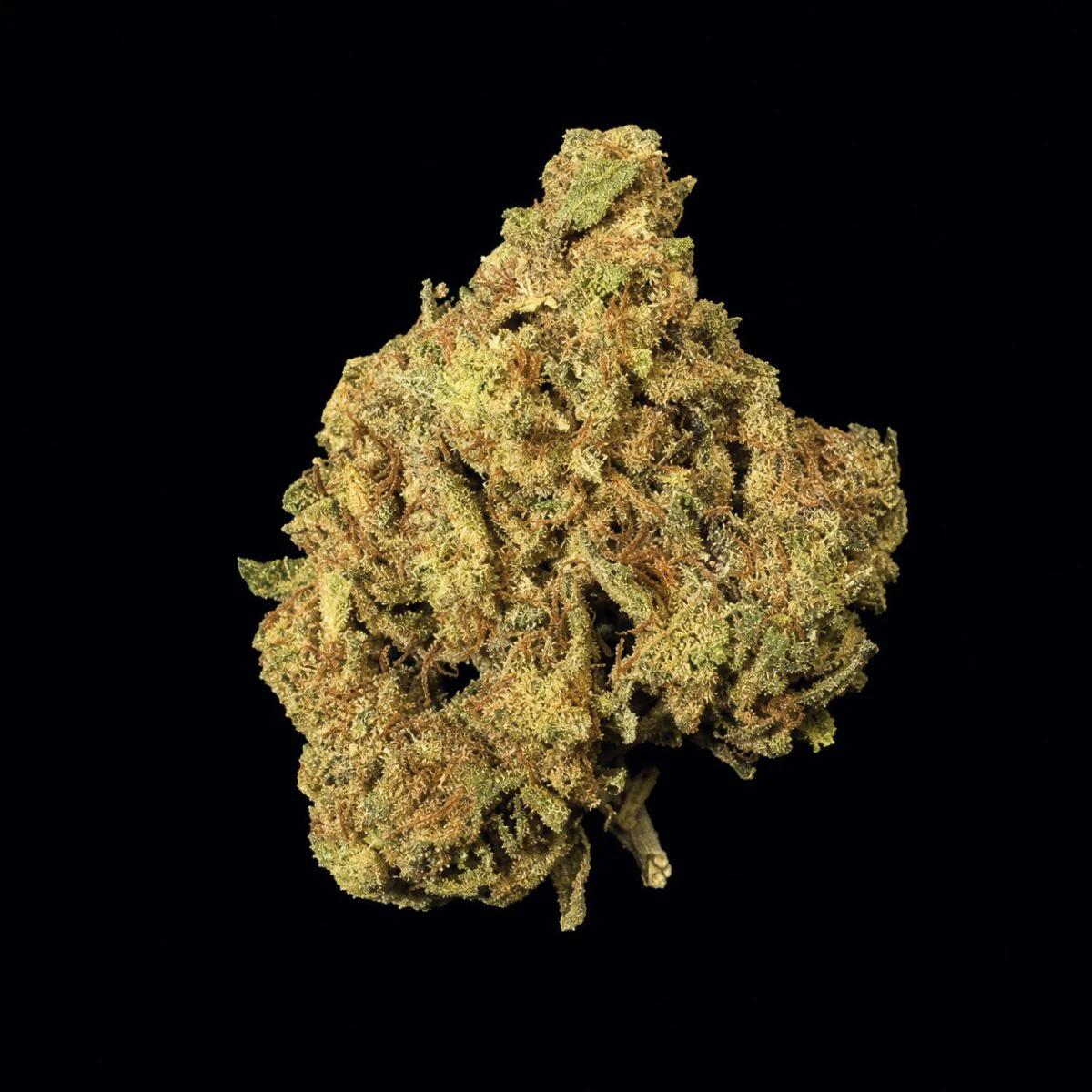 Gruntz THCA Flower - Image 5