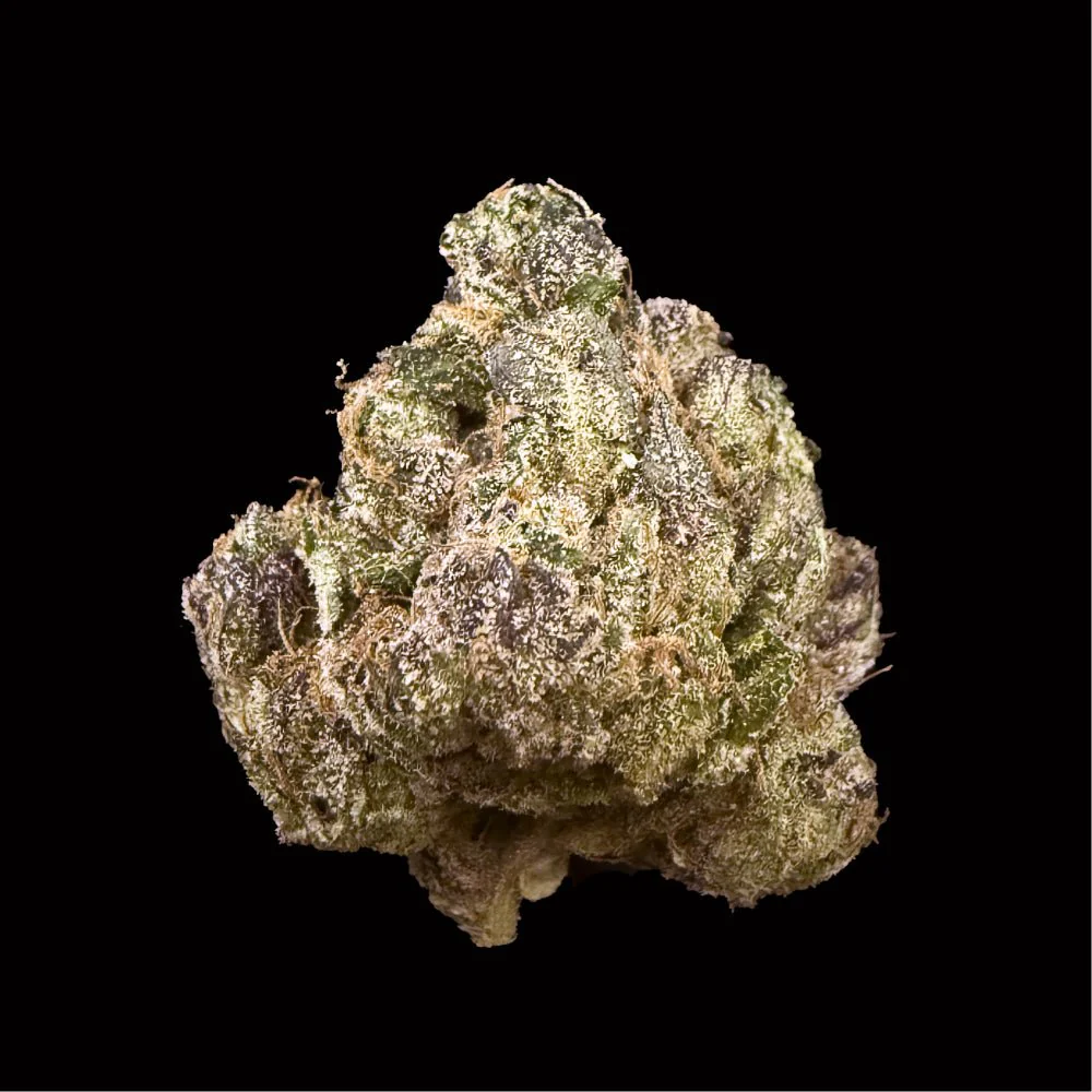 Gushers THCA Flower