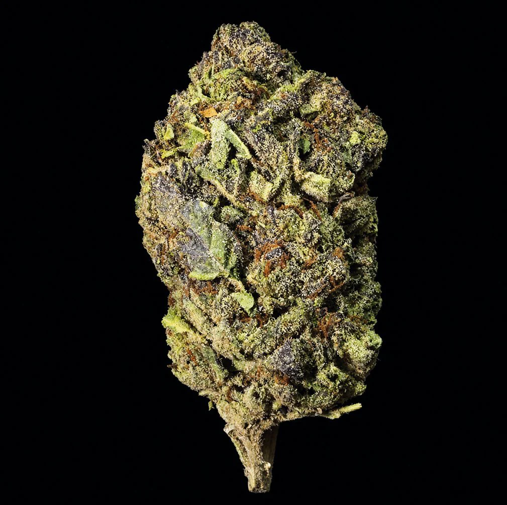 Ice Cream Runtz THCA Flower - Image 6