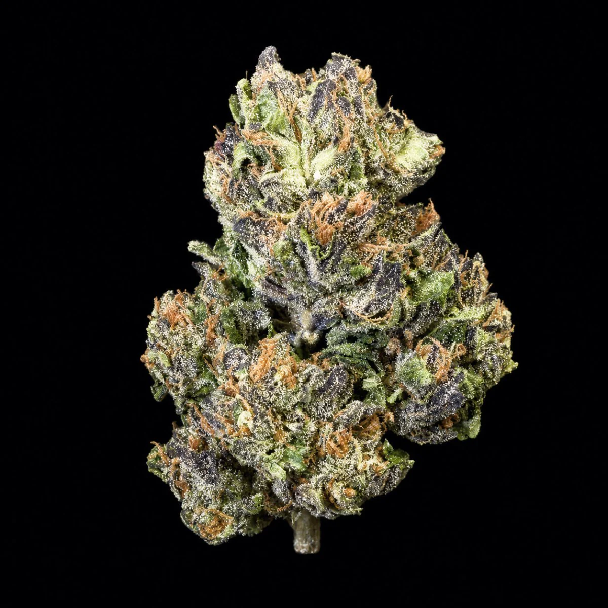 Lemon Cherry Beltz THCA Flower - Image 4