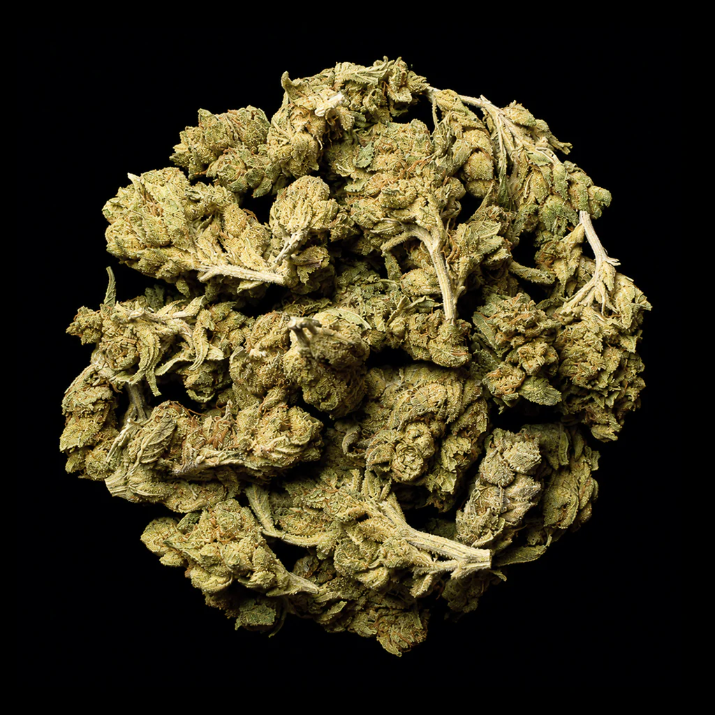 Lemon Gas THCA Flower - Image 3