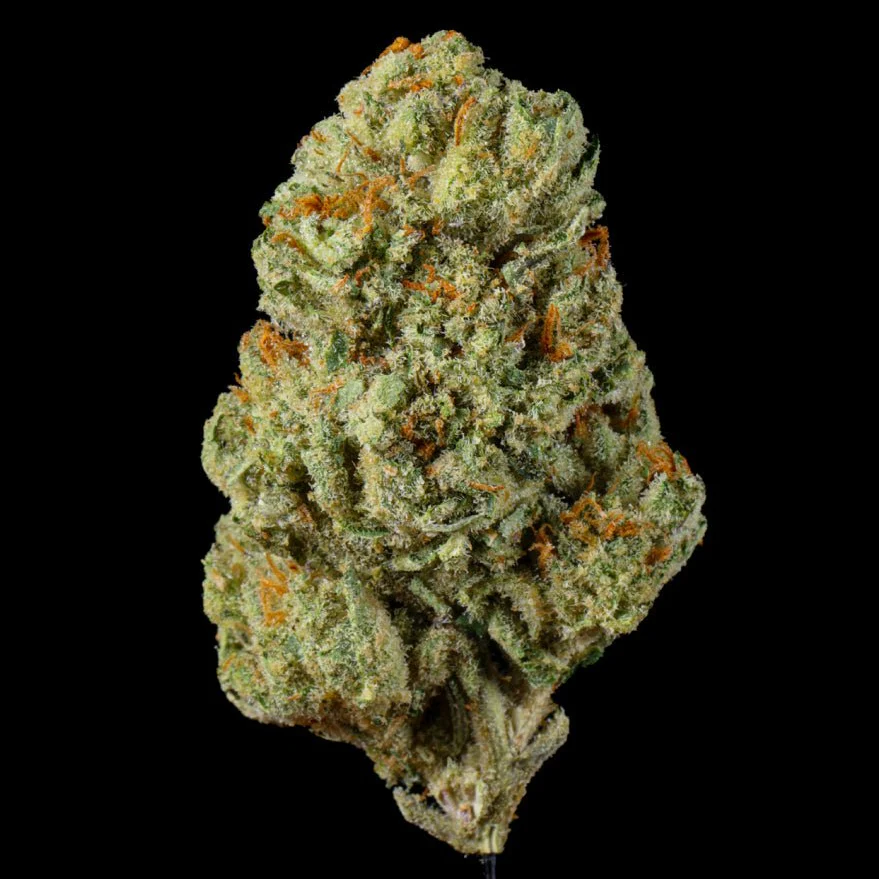 Motor OG THCA Flower