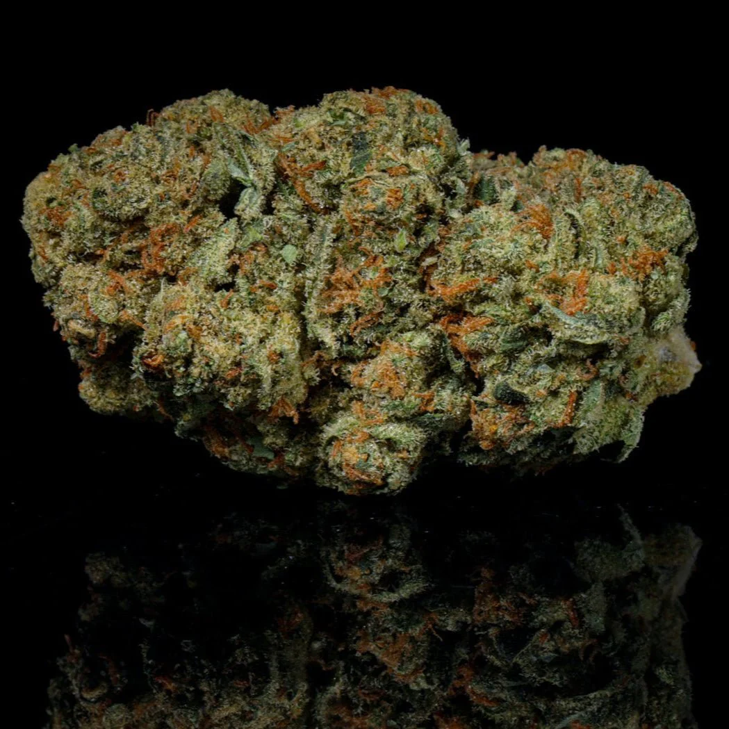 Notorious OG THCA Flower