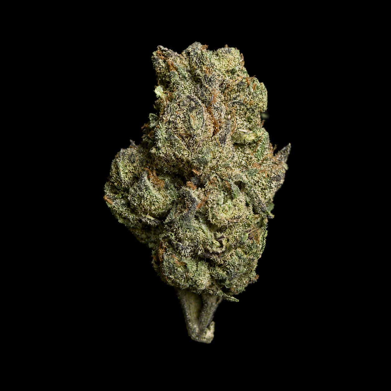 Oakland Runtz THCA Flower - Image 6