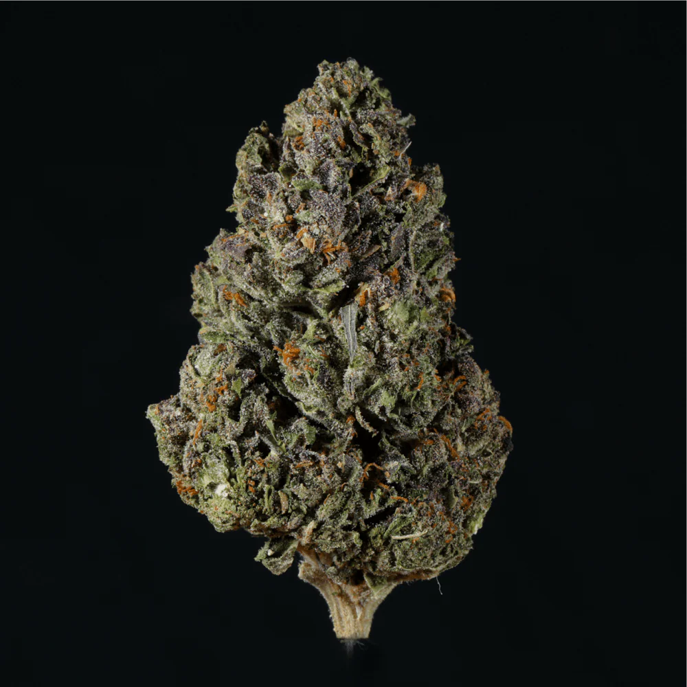 Petrol Pie THCA Flower - Image 10