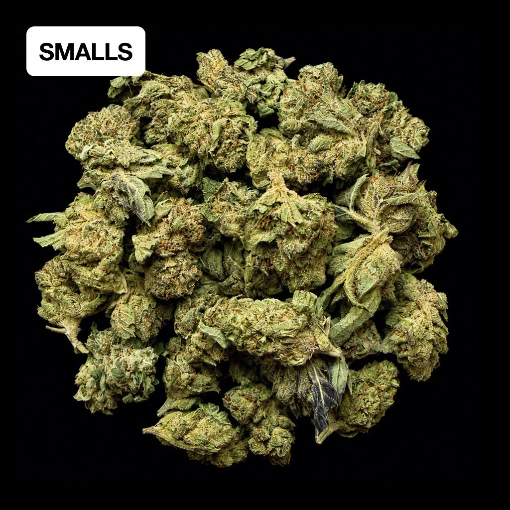 Pink Pluto THCA Flower - Image 3