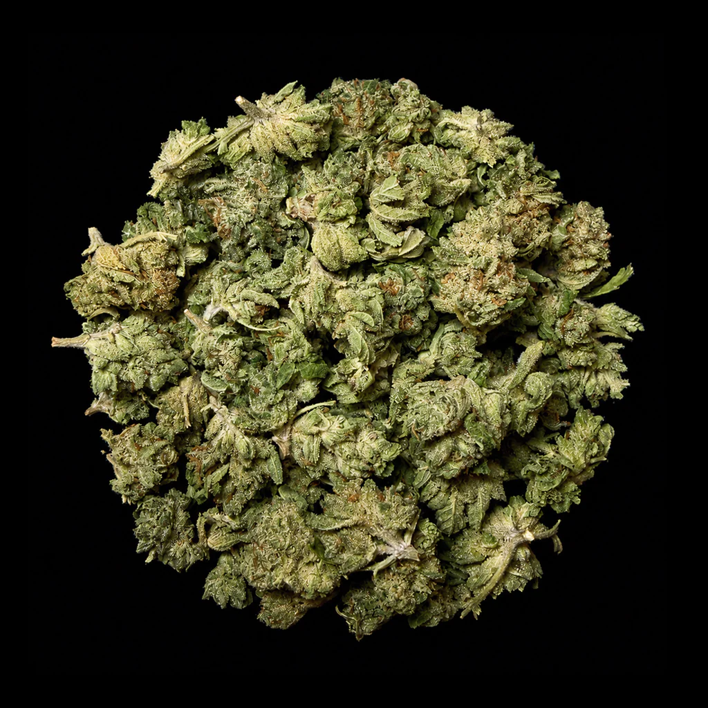 Pipe Dream THCA Flower - Image 5