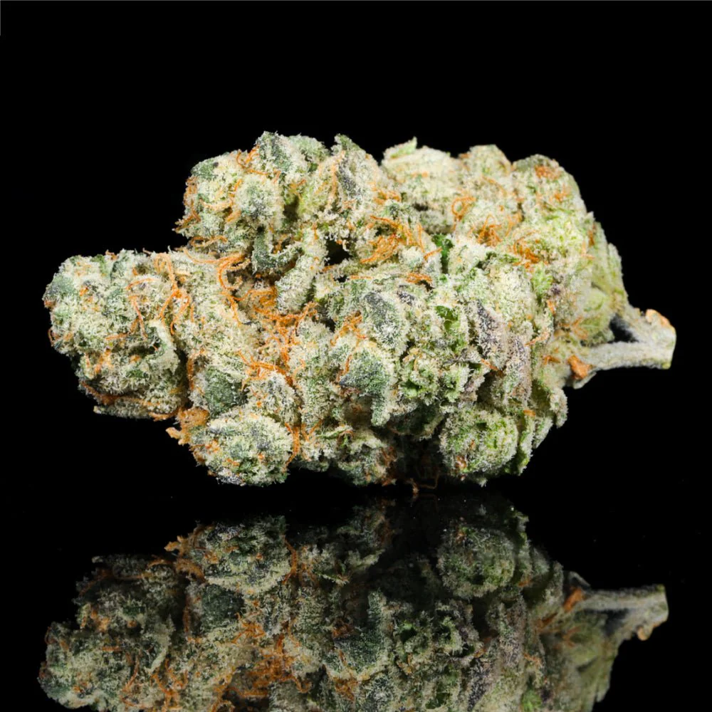 Purple Sunrise THCA Flower