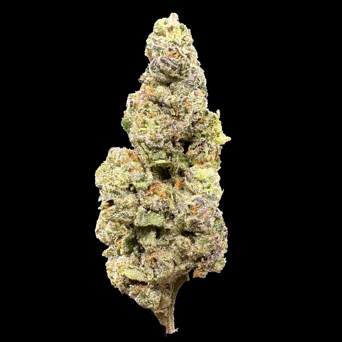 Scented Marker THCA Flower