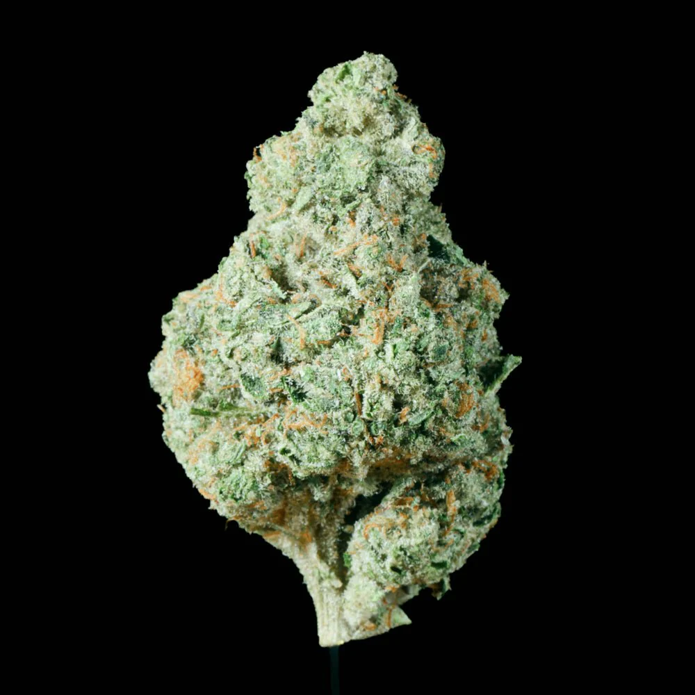 Slurricane THCA Flower