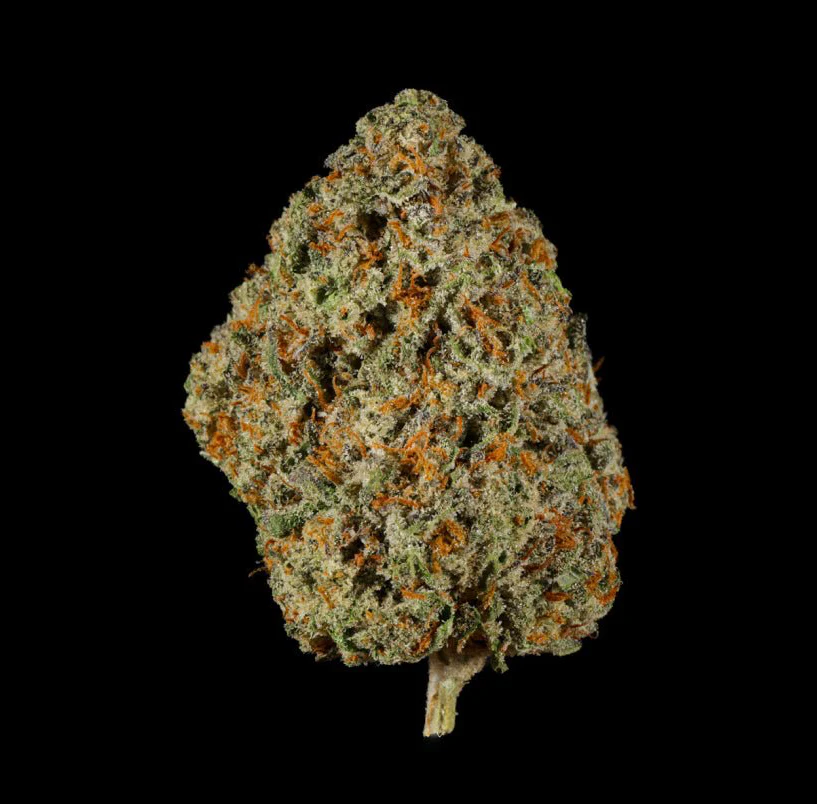 Sour Gushers THCA Flower - Image 4