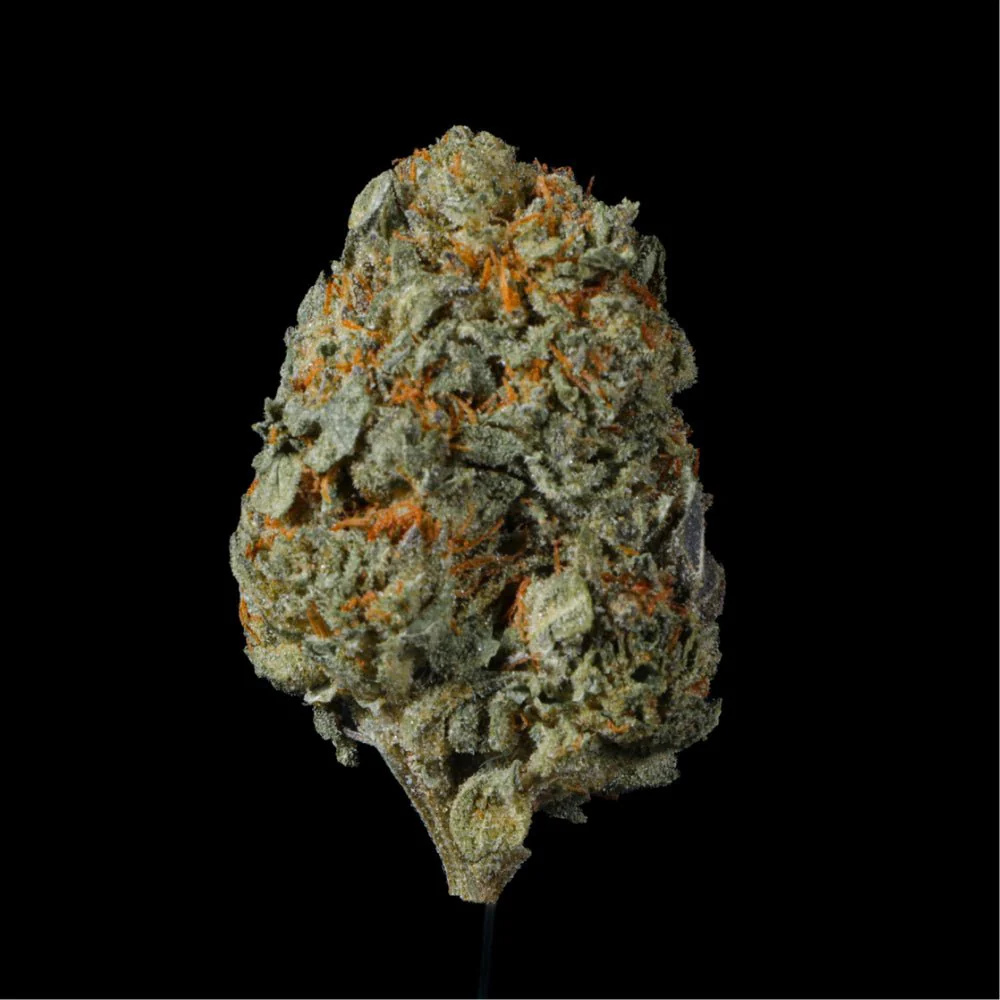 Thin Mint Cookies THCA Flower - Image 4