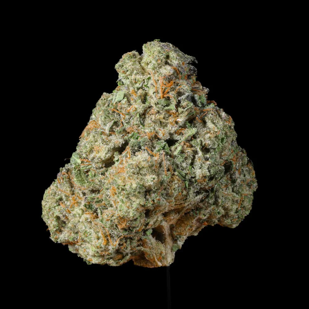 Triangle Kush Cake THCA Flower