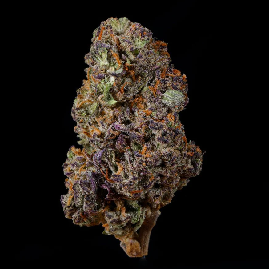 Tropical Gelato THCA Flower