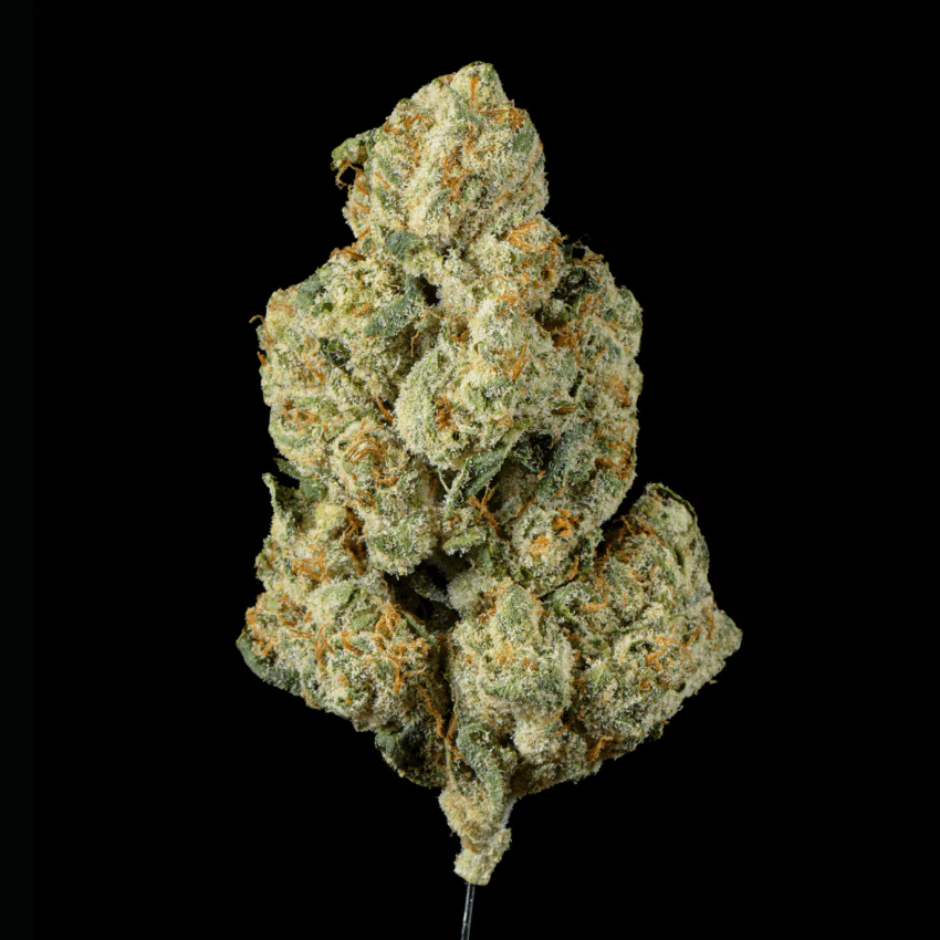 Tuscan Gelato THCA Flower