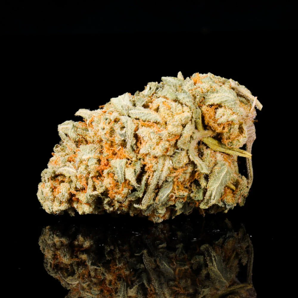 Venom OG THCA Flower