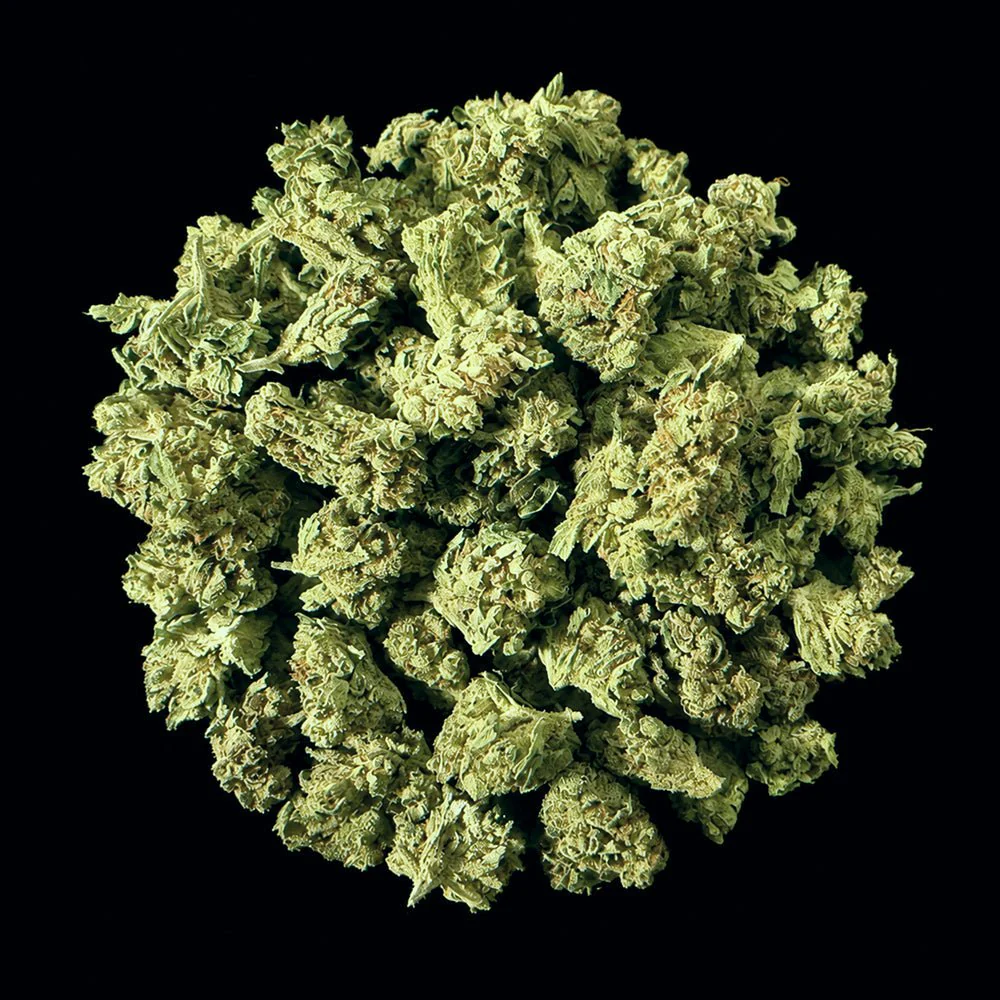 Watermelon Mimosa THCA Flower - Image 3