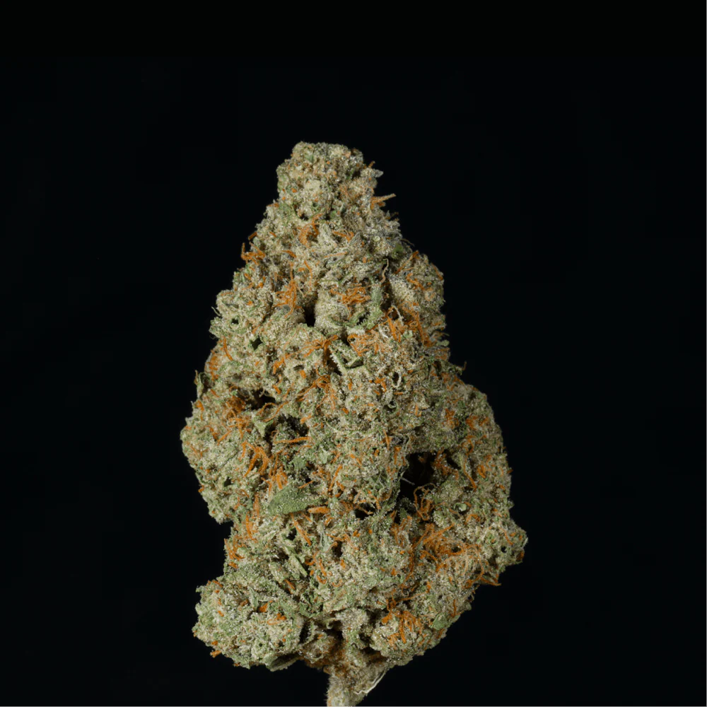XXX THCA Flower - Image 4